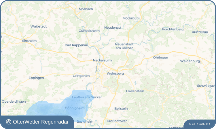 OtterWetter Regenradar-Widget Binswangen