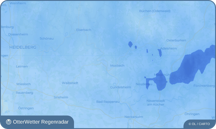 OtterWetter Regenradar-Widget Diedesheim