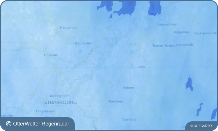 Wetter-Widget-Vorschau mit Vorhersagedaten für Muckenschopf