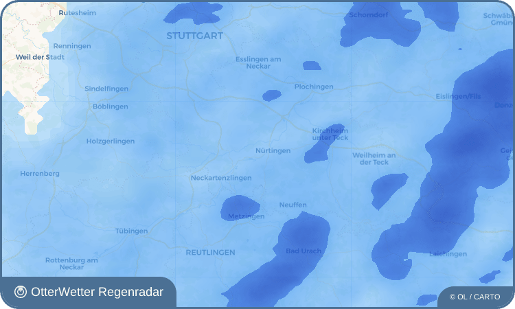 OtterWetter Regenradar-Widget Neckarhausen