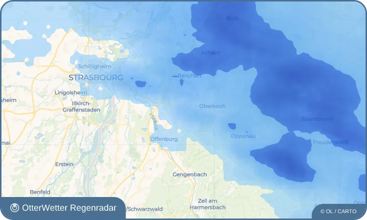 Wetter-Widget-Vorschau mit Vorhersagedaten für Nesselried
