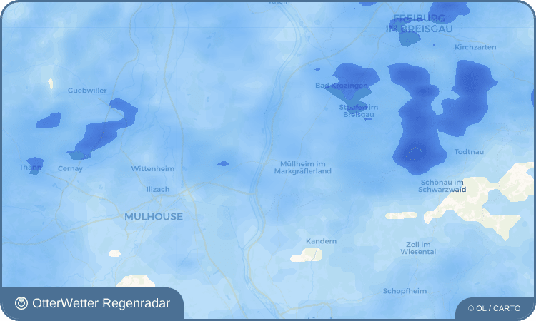 Wetter-Widget-Vorschau mit Vorhersagedaten für Neuenburg am Rhein