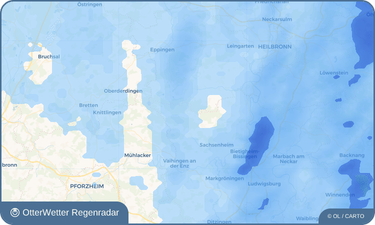 OtterWetter Regenradar-Widget Ochsenbach