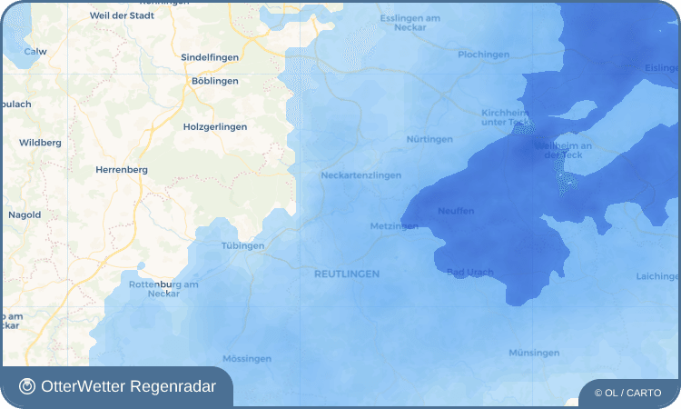 OtterWetter Regenradar-Widget Pliezhausen