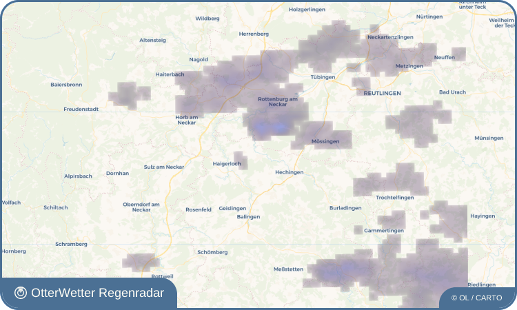 OtterWetter Regenradar-Widget Rangendingen