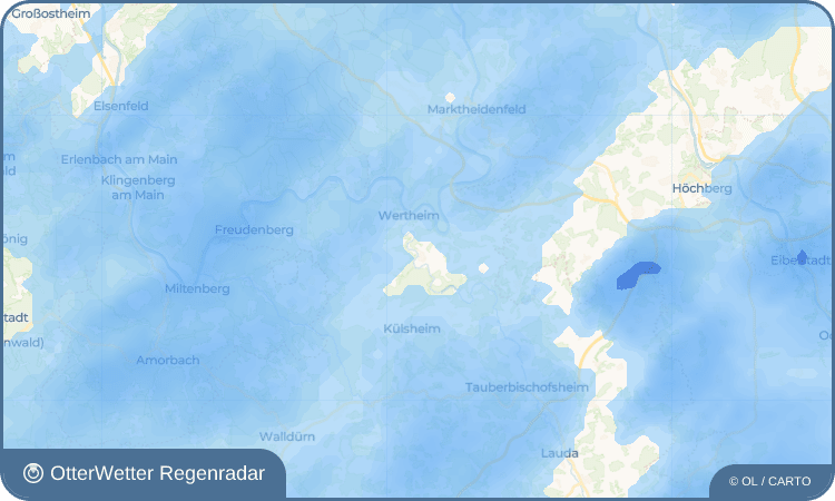 OtterWetter Regenradar-Widget Reicholzheim