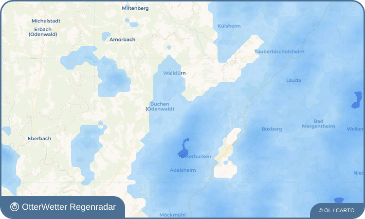 Widget-Vorschau für Rinschheim Wetter-Widget-Vorschau mit Vorhersagedaten für Rinschheim