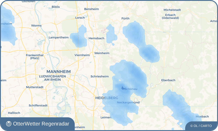 Widget-Vorschau für Rippenweier Wetter-Widget-Vorschau mit Vorhersagedaten für Rippenweier