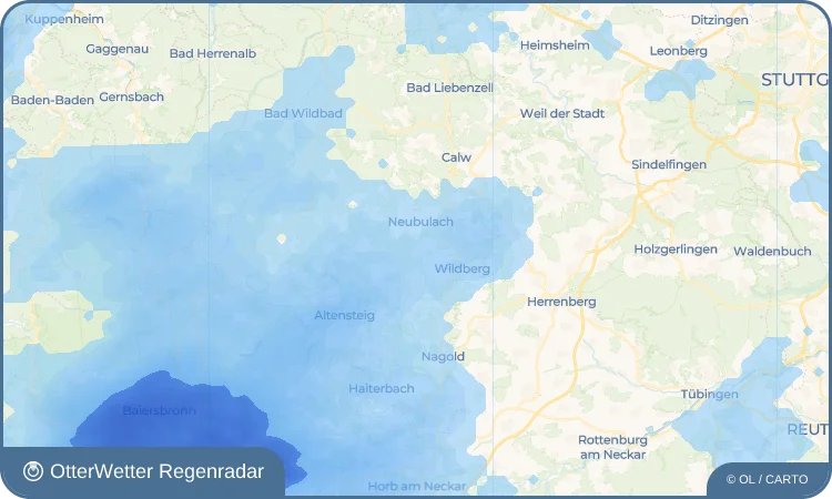 Wetter-Widget-Vorschau mit Vorhersagedaten für Schönbronn