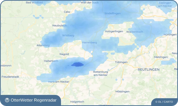 Wetter-Widget-Vorschau mit Vorhersagedaten für Tailfingen
