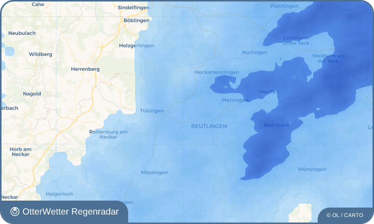 OtterWetter Regenradar-Widget Wannweil