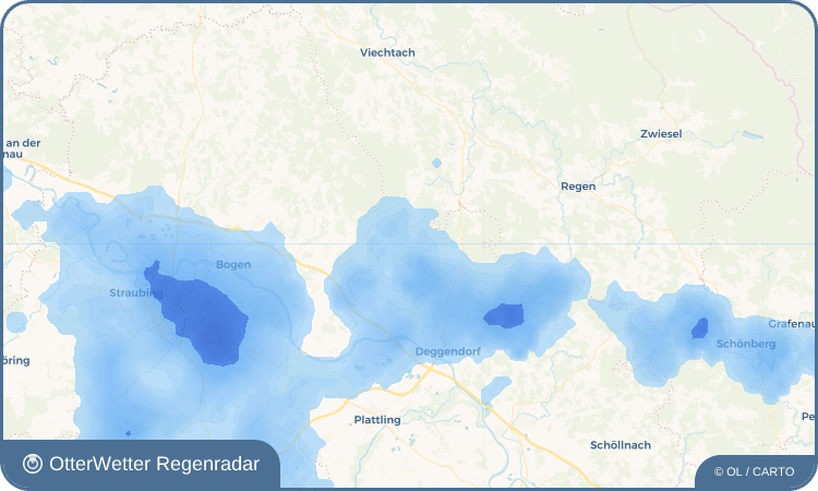 OtterWetter Regenradar-Widget Buchetwies