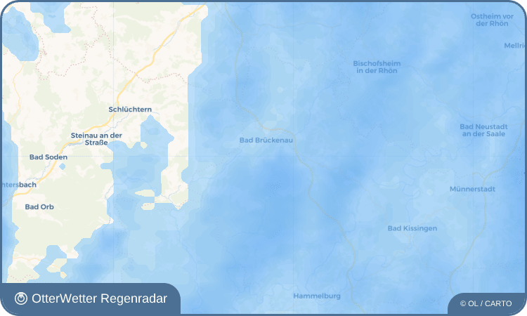 OtterWetter Regenradar-Widget Buchrasen
