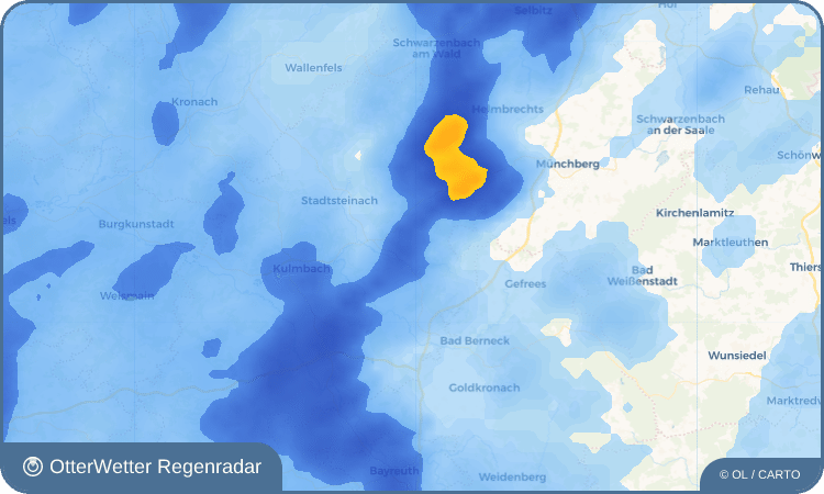 Wetter-Widget-Vorschau mit Vorhersagedaten für Neufang