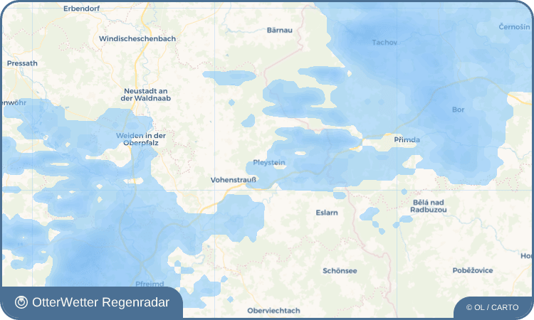 OtterWetter Regenradar-Widget Pleystein