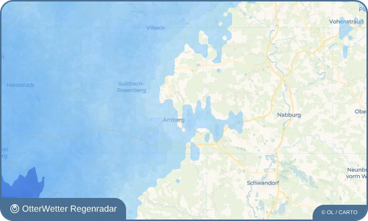 Wetter-Widget-Vorschau mit Vorhersagedaten für Raigering