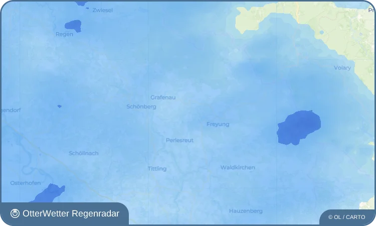 Wetter-Widget-Vorschau mit Vorhersagedaten für Wasching