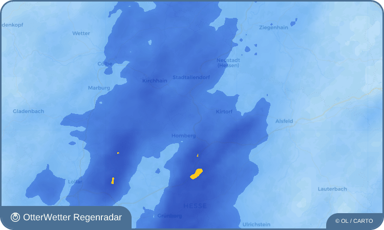 OtterWetter Regenradar-Widget Dannenrod