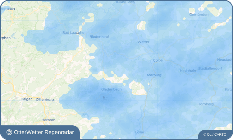OtterWetter Regenradar-Widget Diedenshausen