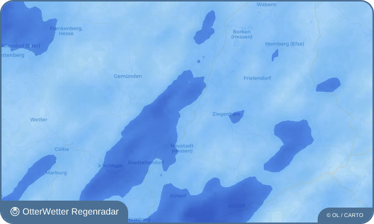 OtterWetter Regenradar-Widget Florshain