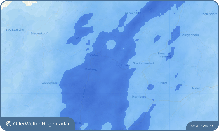 OtterWetter Regenradar-Widget Großseelheim