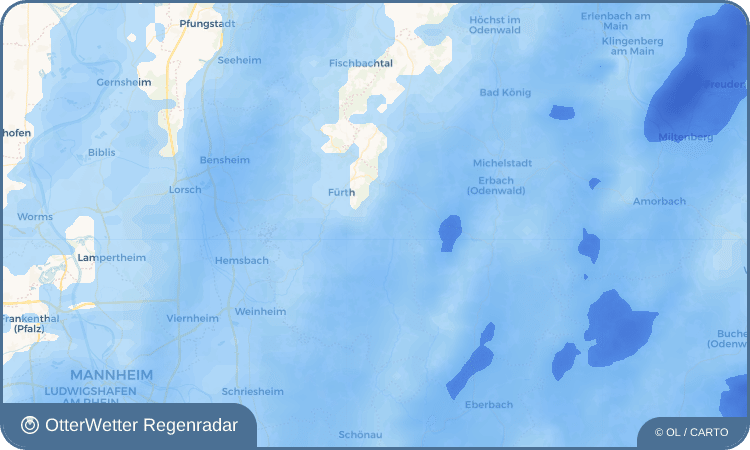 OtterWetter Regenradar-Widget Litzelbach