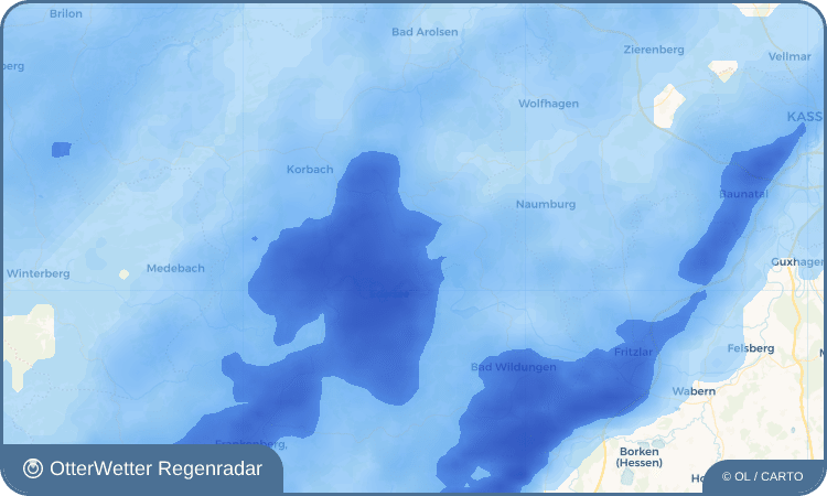 OtterWetter Regenradar-Widget Nieder-Werbe