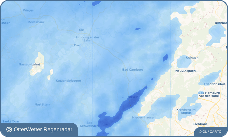 OtterWetter Regenradar-Widget Ohren