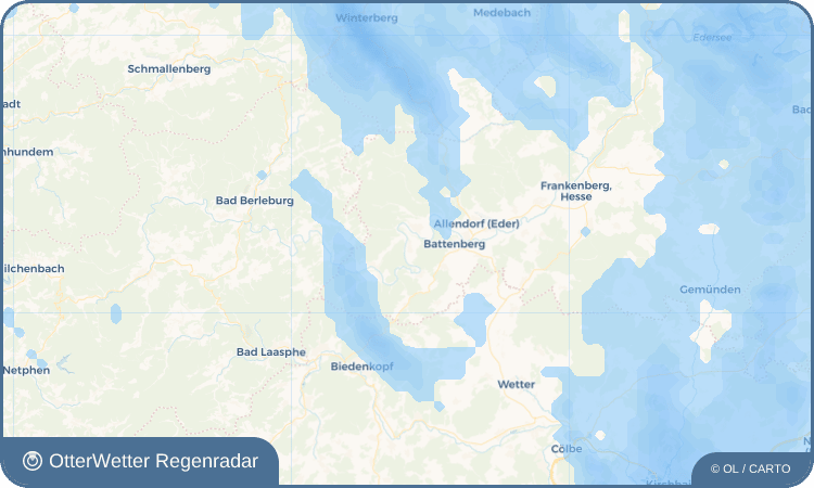 OtterWetter Regenradar-Widget Reddighausen