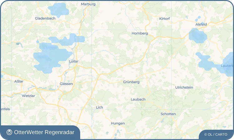 Wetter-Widget-Vorschau mit Vorhersagedaten für Reinhardshain
