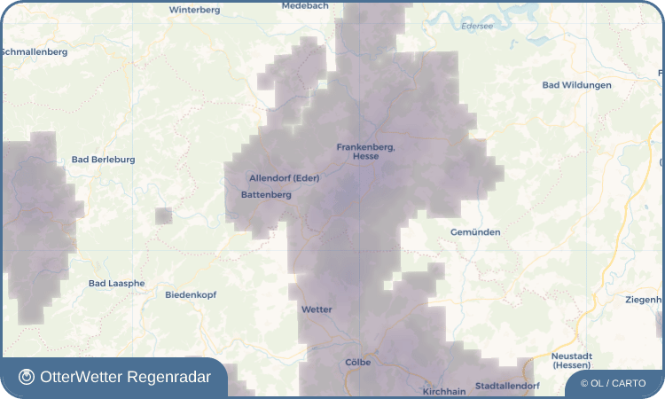 OtterWetter Regenradar-Widget Wiesenfeld