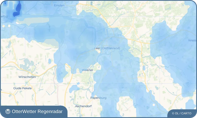 Wetter-Widget-Vorschau mit Vorhersagedaten für Driever