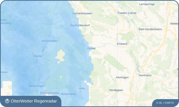 Wetter-Widget-Vorschau mit Vorhersagedaten für Relliehausen