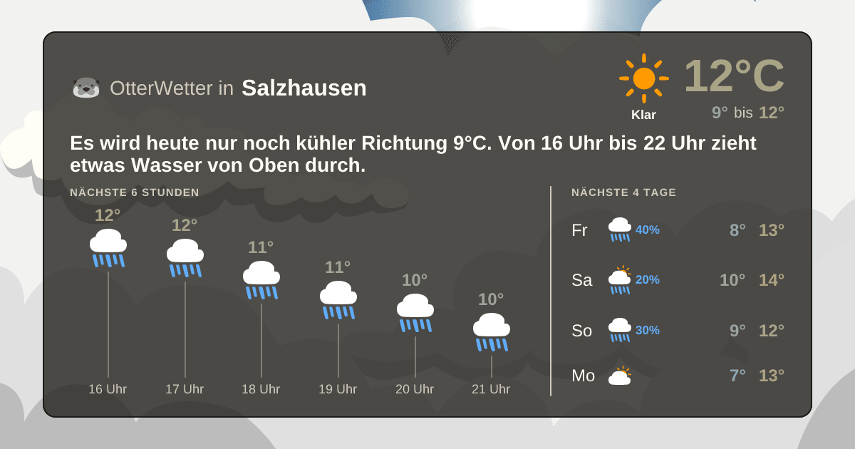 Widget-Vorschau für Salzhausen Wetter-Widget-Vorschau mit Vorhersagedaten für Salzhausen