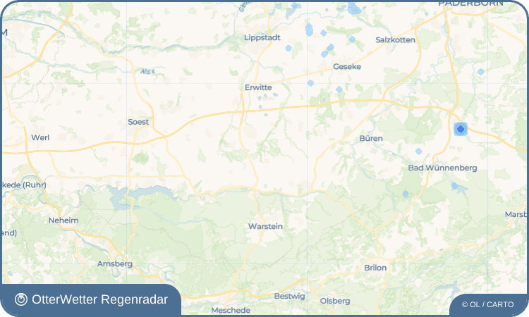 OtterWetter Regenradar-Widget Effeln