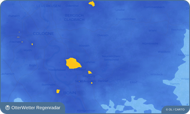 OtterWetter Regenradar-Widget Ellhausen