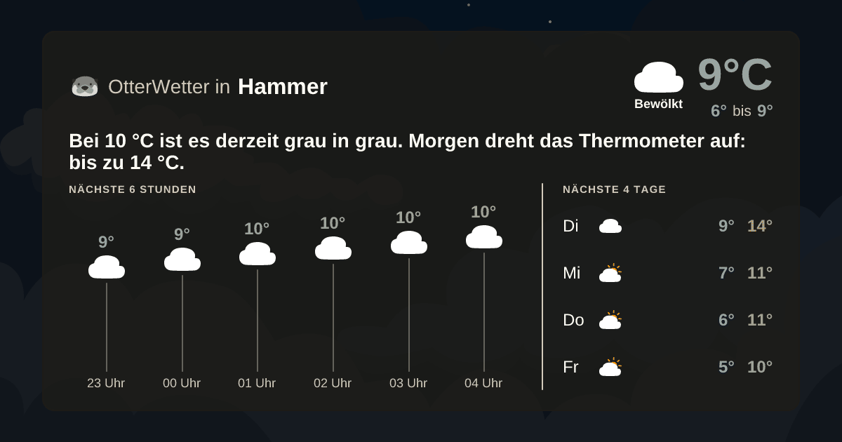 OtterWetter-Widget Hammer