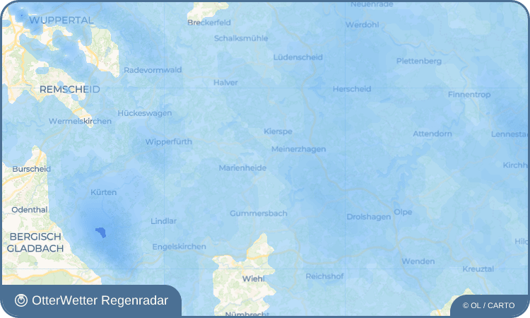 OtterWetter Regenradar-Widget Holzwipper