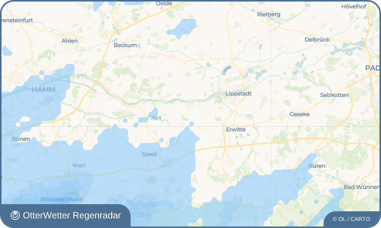 OtterWetter Regenradar-Widget Lohe