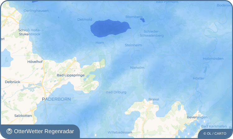 OtterWetter Regenradar-Widget Merlsheim