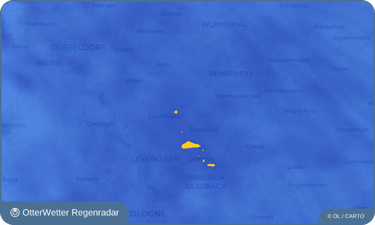 OtterWetter Regenradar-Widget Metzholz