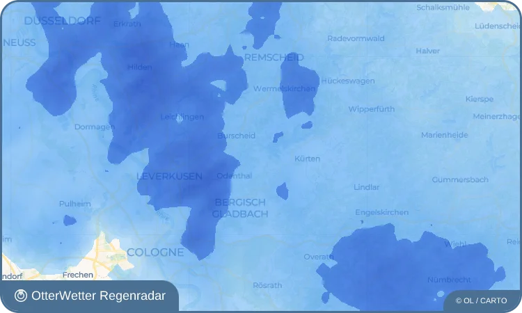 Widget-Vorschau für Neschen Wetter-Widget-Vorschau mit Vorhersagedaten für Neschen