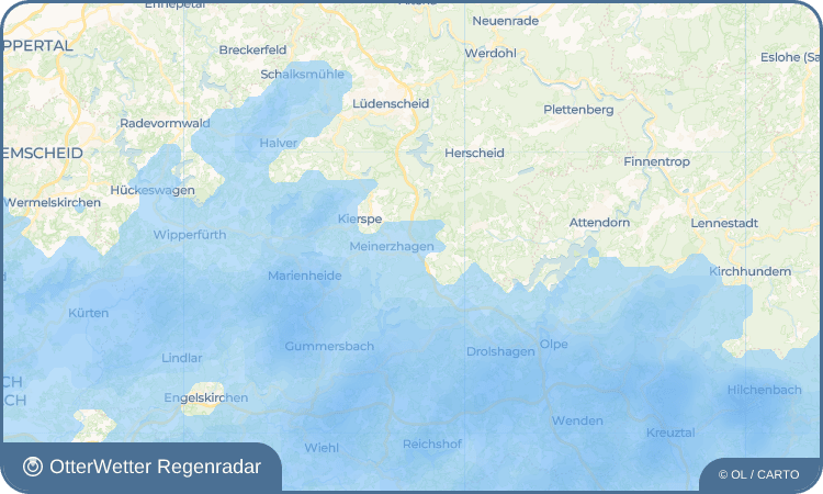 OtterWetter Regenradar-Widget Scherl