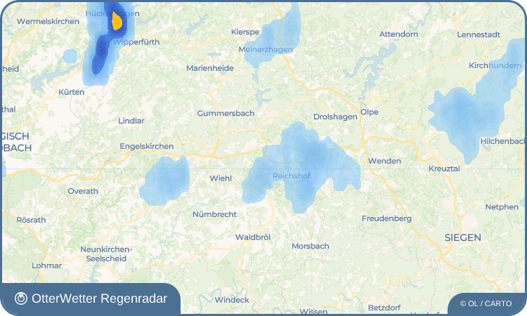 Widget-Vorschau für Wald Wetter-Widget-Vorschau mit Vorhersagedaten für Wald