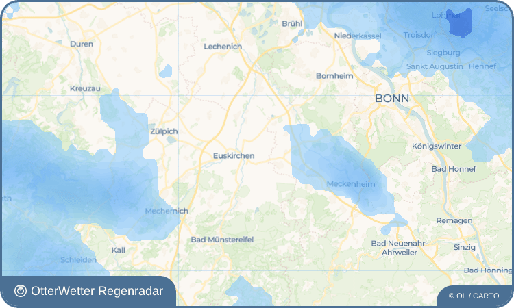 OtterWetter Regenradar-Widget Weidesheim