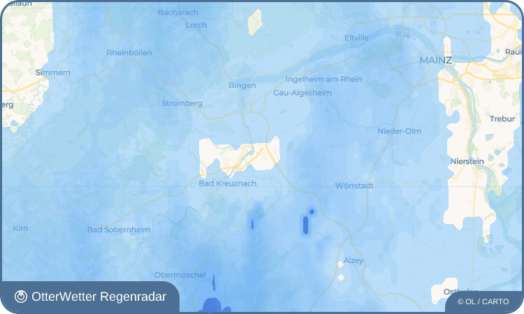 OtterWetter Regenradar-Widget Biebelsheim