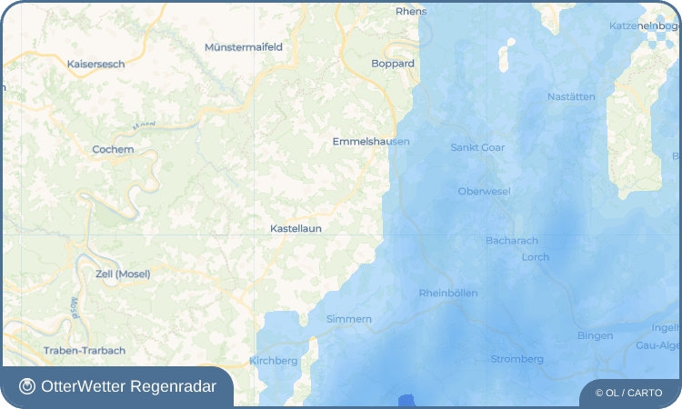 OtterWetter Regenradar-Widget Braunshorn
