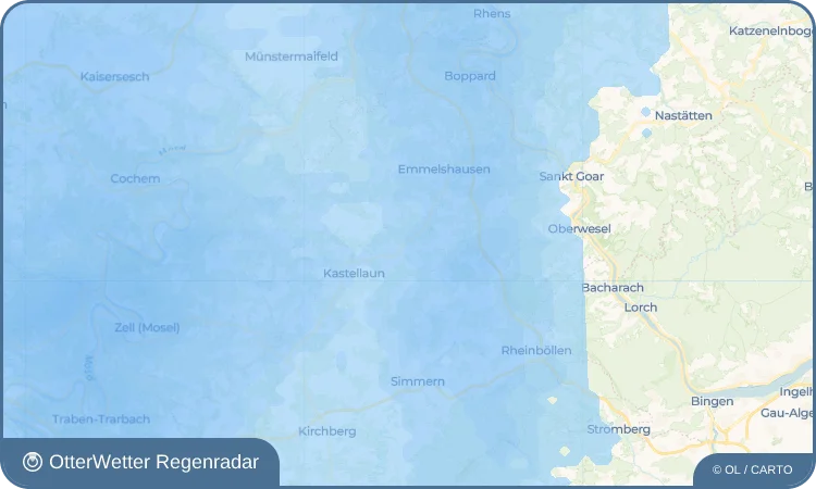 Wetter-Widget-Vorschau mit Vorhersagedaten für Braunshorn