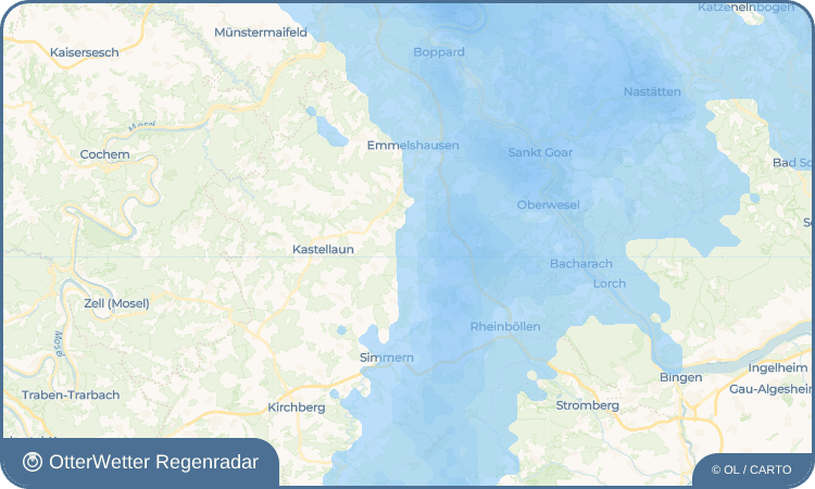 OtterWetter Regenradar-Widget Bubach