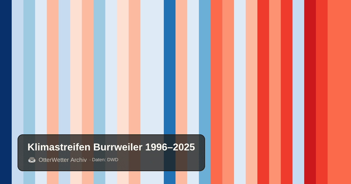 Klimastreifen Burrweiler: Jahresmitteltemperaturen von blau (kühler) bis rot (wärmer)
